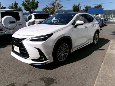 LEXUS NX - 3