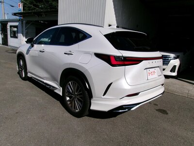 LEXUS NX - 6