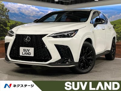 LEXUS NX - 1