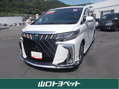 2021 Toyota ALPHARD 照片 1