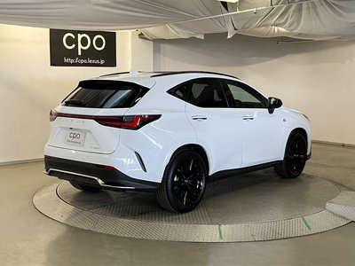 LEXUS NX - 10