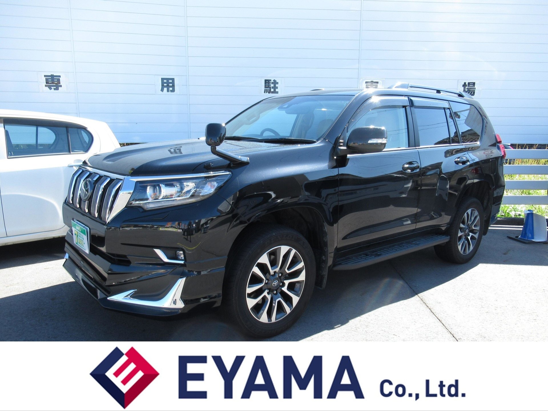 TOYOTA LAND CRUISER PRADO - View 1