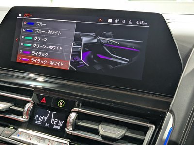 2020 BMW 8 SERIES — миниатюра 33