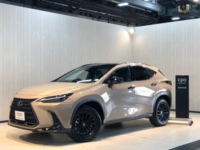 LEXUS NX - 1
