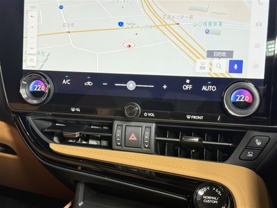 2025 Lexus NX — миниатюра 19