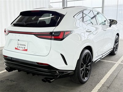 2025 Lexus NX photo 7