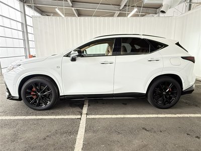 2025 Lexus NX photo 6
