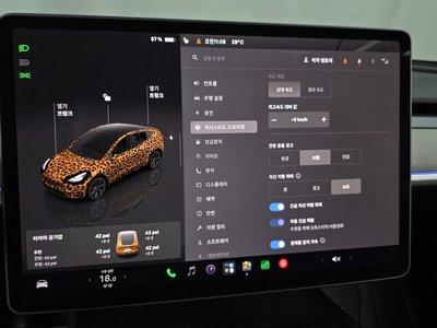 2024 Tesla MODEL Y 缩略图 15