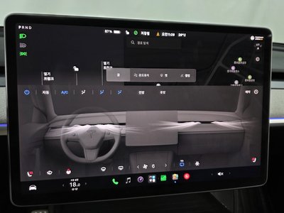 2024 Tesla MODEL Y 缩略图 18