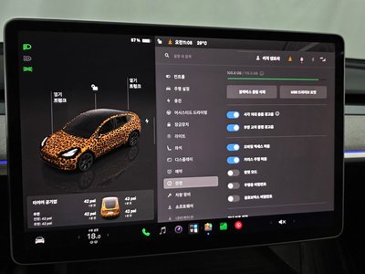 2024 Tesla MODEL Y 缩略图 16