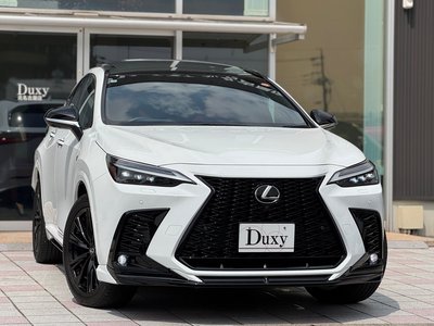 LEXUS NX - 6