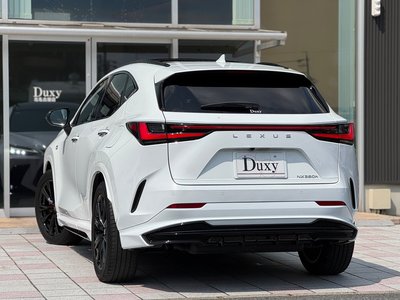LEXUS NX - 8