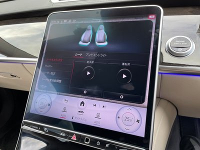2023 Mercedes-BENZ S-CLASS photo 10