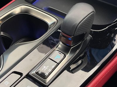 2024 Lexus NX 缩略图 44
