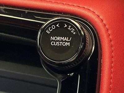 2024 Lexus NX 缩略图 43