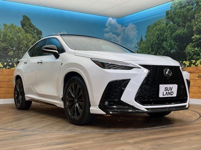 2024 Lexus NX 缩略图 18