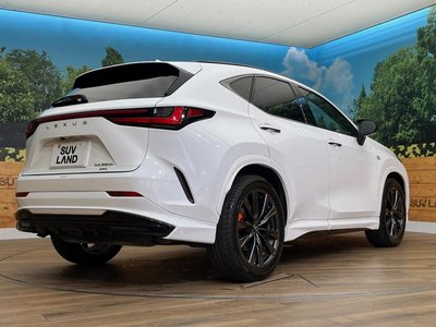 2024 Lexus NX 缩略图 19