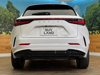 2024 Lexus NX 缩略图 17