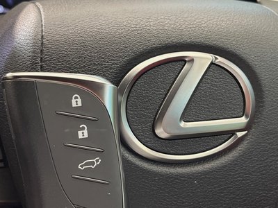 2024 Lexus NX 缩略图 70