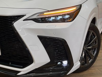 2024 Lexus NX 缩略图 14