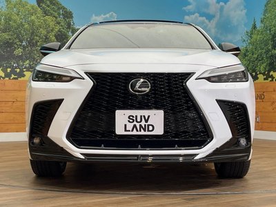 2024 Lexus NX 缩略图 16