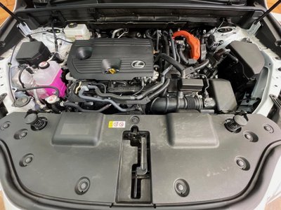 2024 Lexus NX 缩略图 20