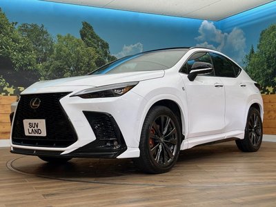 2024 Lexus NX 缩略图 72