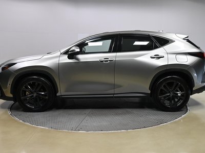2021 Lexus NX 照片 4