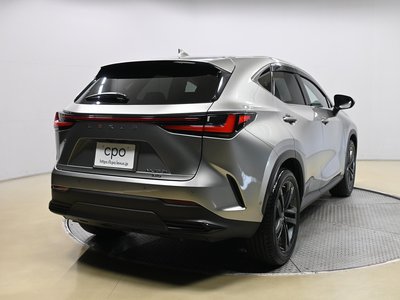 2021 Lexus NX 照片 6