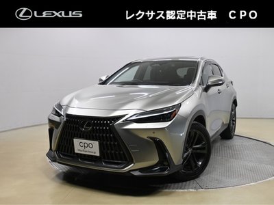 2021 Lexus NX 照片 1