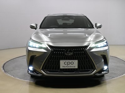 2021 Lexus NX 照片 3
