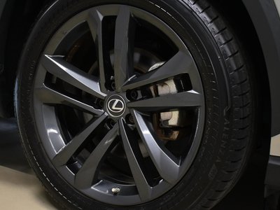2021 Lexus NX 照片 7