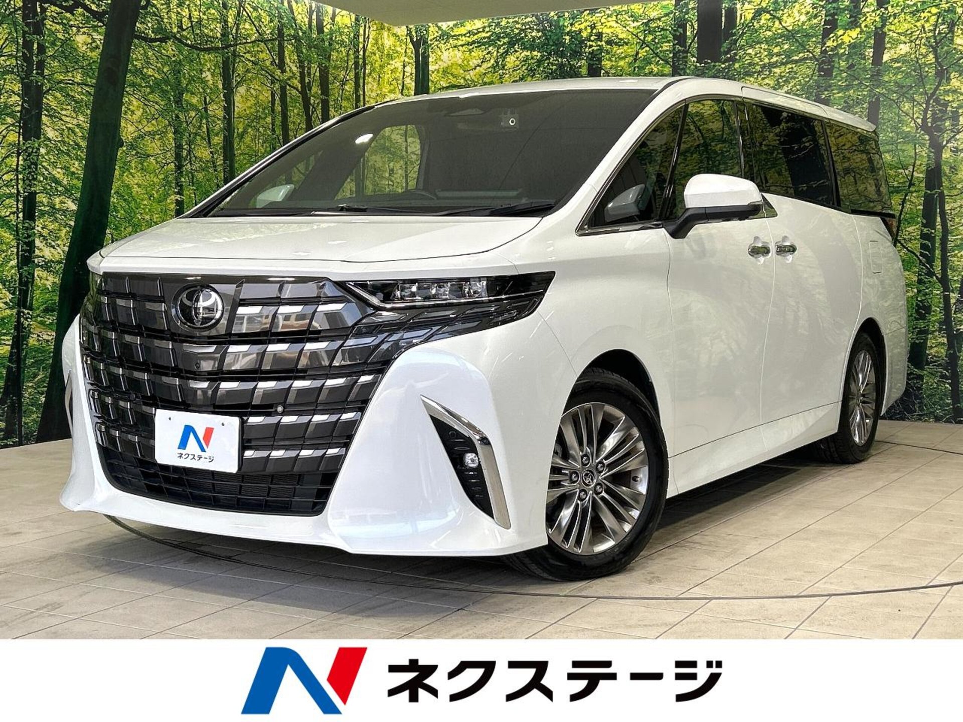 TOYOTA ALPHARD - View 1
