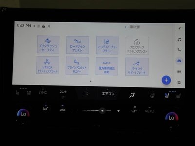 2025 Toyota ALPHARD 缩略图 28