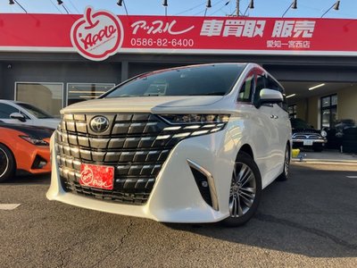 TOYOTA ALPHARD - 1
