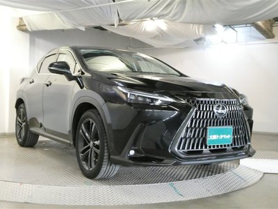 LEXUS NX - 10