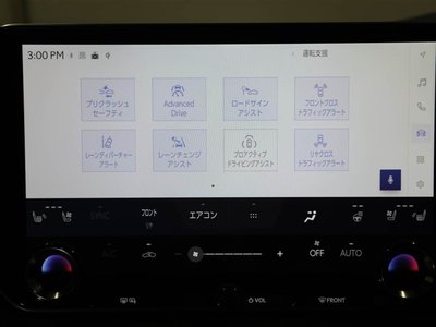 Thumbnail 28
