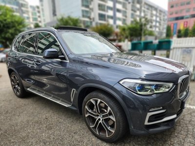 2021 BMW X5 照片 3