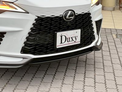 LEXUS RX - 8
