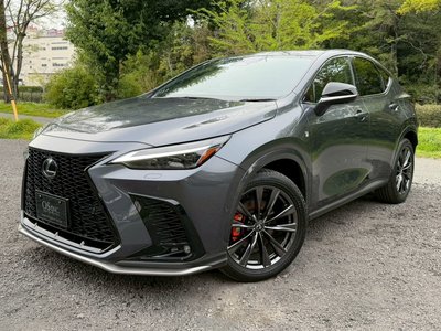 LEXUS NX - 7