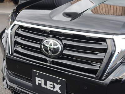 2022 Toyota LAND CRUISER PRADO 照片 8