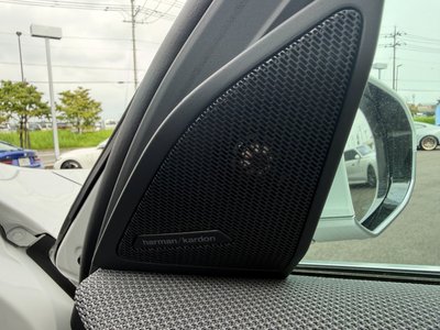 2025 BMW X3 缩略图 26