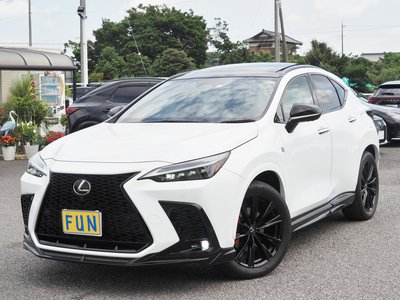 LEXUS NX - 4