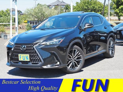 LEXUS NX - 1