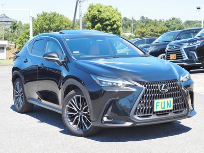 LEXUS NX - 3