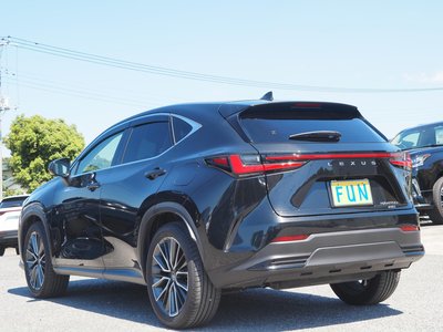 LEXUS NX - 6