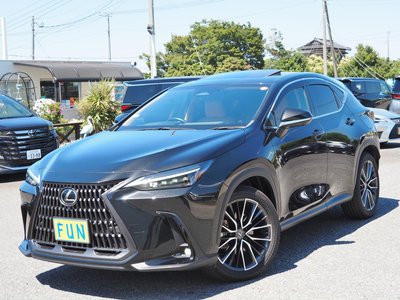 LEXUS NX - 4