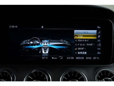 2019 Mercedes-BENZ GT AMG 缩略图 57