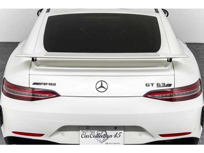 2019 Mercedes-BENZ GT AMG 缩略图 18