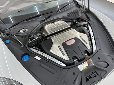 2019 Porsche PANAMERA 照片 3